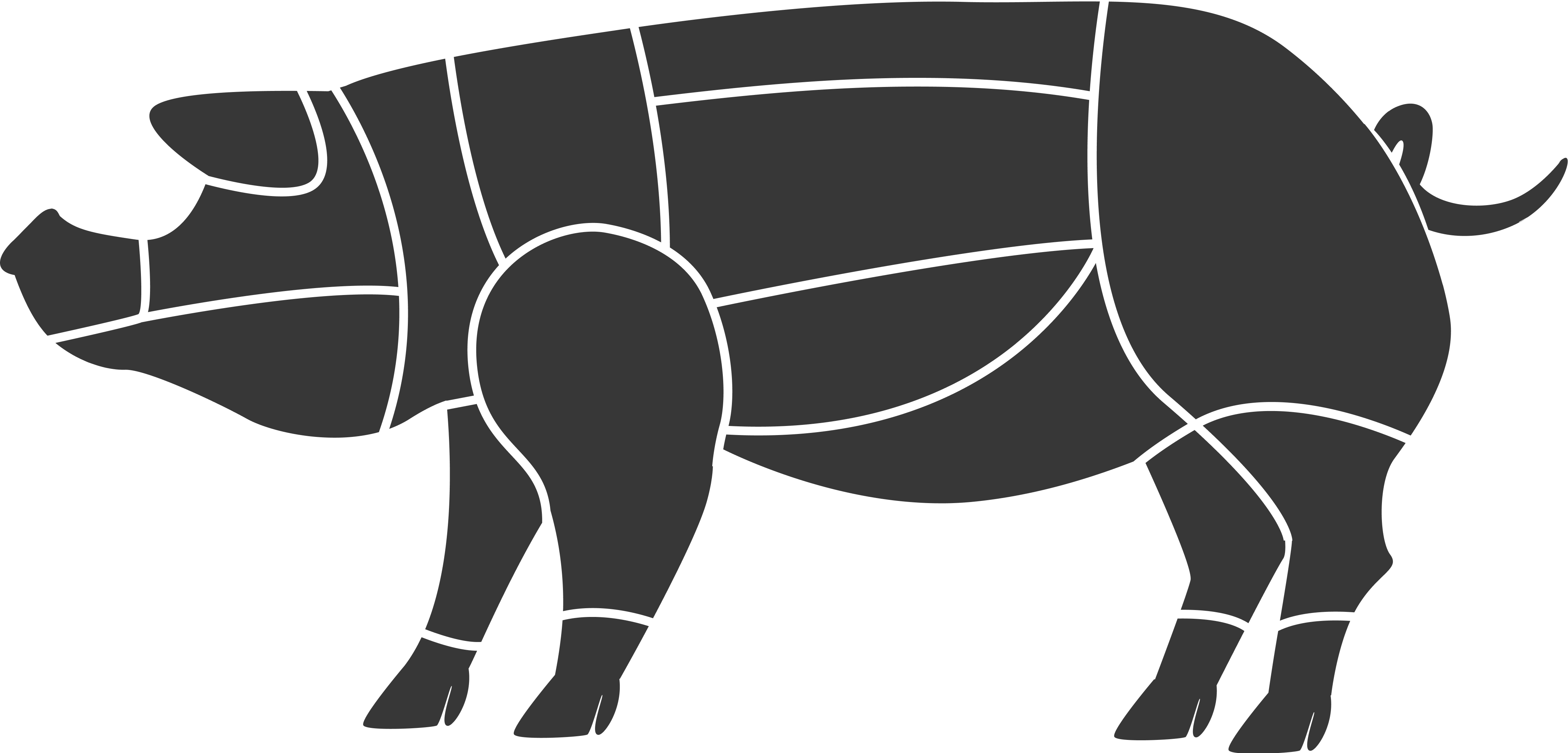 Pork Cuts Diagram